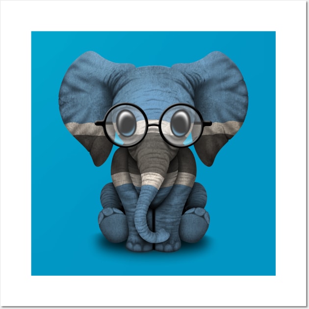 Baby Elephant with Glasses and Botswana Flag Wall Art by jeffbartels